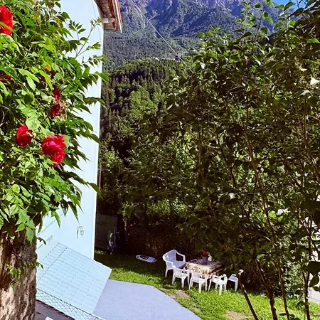 Villa Amore 3*